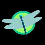 neon dragonfly